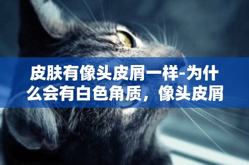 皮膚有像頭皮屑一樣-為什么會有白色角質，像頭皮屑一樣