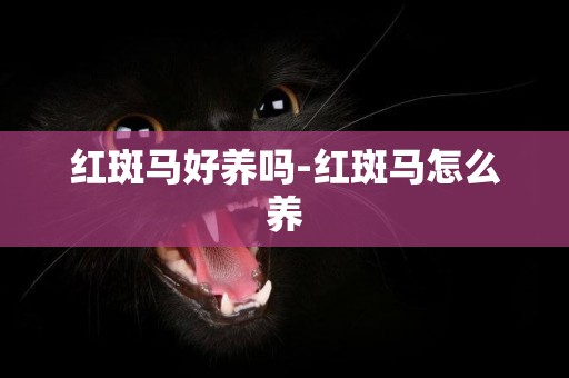 紅斑馬好養嗎-紅斑馬怎么養