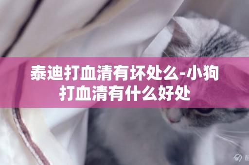 泰迪打血清有壞處么-小狗打血清有什么好處