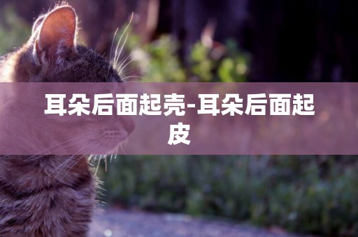 耳朵后面起殼-耳朵后面起皮