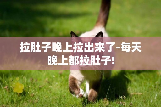 拉肚子晚上拉出來了-每天晚上都拉肚子!