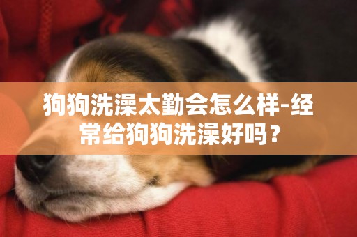 狗狗洗澡太勤會怎么樣-經常給狗狗洗澡好嗎？
