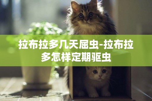 拉布拉多幾天屈蟲-拉布拉多怎樣定期驅蟲