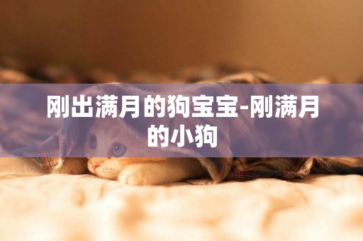 剛出滿月的狗寶寶-剛滿月的小狗