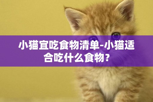 小貓宜吃食物清單-小貓適合吃什么食物？