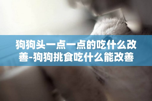 狗狗頭一點一點的吃什么改善-狗狗挑食吃什么能改善