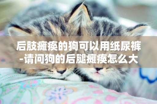 后肢癱瘓的狗可以用紙尿褲-請問狗的后腿癱瘓怎么大小便啊?