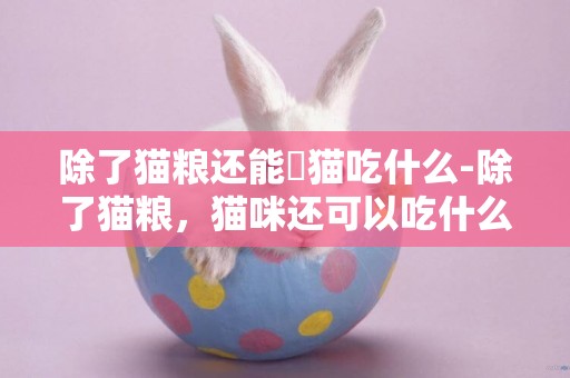 除了貓糧還能給貓吃什么-除了貓糧，貓咪還可以吃什么