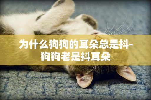 為什么狗狗的耳朵總是抖-狗狗老是抖耳朵