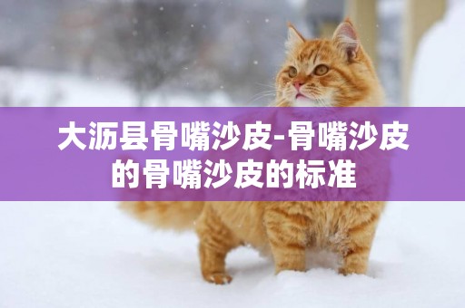 大瀝縣骨嘴沙皮-骨嘴沙皮的骨嘴沙皮的標準