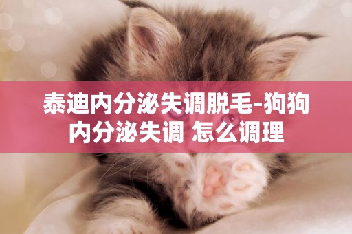 泰迪內分泌失調脫毛-狗狗內分泌失調 怎么調理