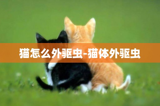 貓怎么外驅蟲-貓體外驅蟲