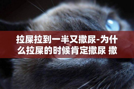 拉屎拉到一半又撒尿-為什么拉屎的時候肯定撒尿 撒尿的時候不一定拉屎呢？