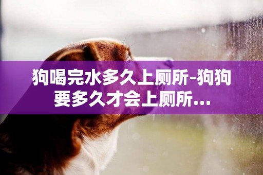 狗喝完水多久上廁所-狗狗要多久才會上廁所…