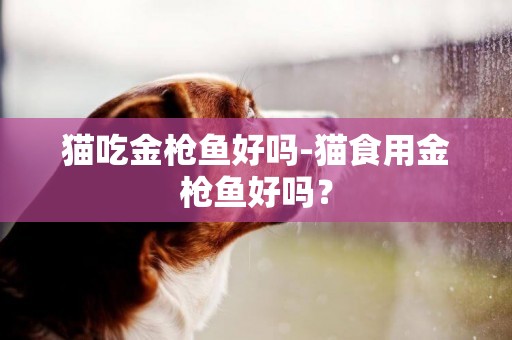 貓吃金槍魚好嗎-貓食用金槍魚好嗎？