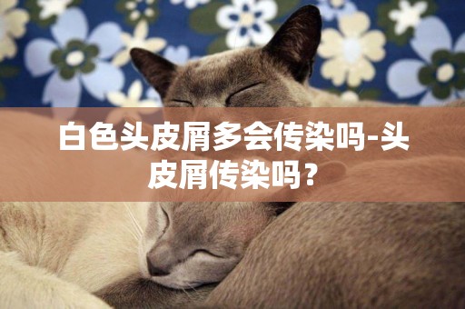 白色頭皮屑多會傳染嗎-頭皮屑傳染嗎？