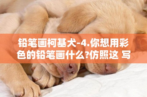 鉛筆畫柯基犬-4.你想用彩色的鉛筆畫什么?仿照這 寫一寫。 鉛筆涂過的地方,