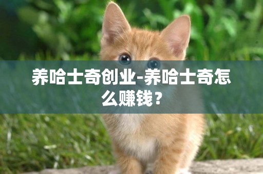 養哈士奇創業-養哈士奇怎么賺錢？