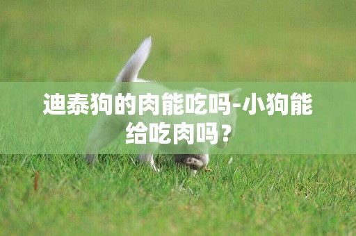 迪泰狗的肉能吃嗎-小狗能給吃肉嗎？