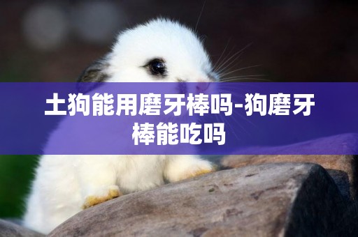 土狗能用磨牙棒嗎-狗磨牙棒能吃嗎