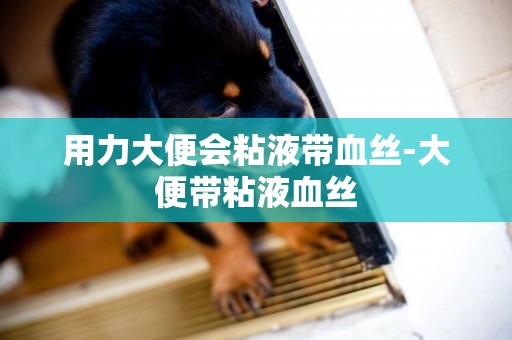 用力大便會粘液帶血絲-大便帶粘液血絲