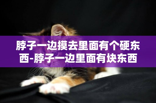 脖子一邊摸去里面有個硬東西-脖子一邊里面有塊東西，不知道是什么。
