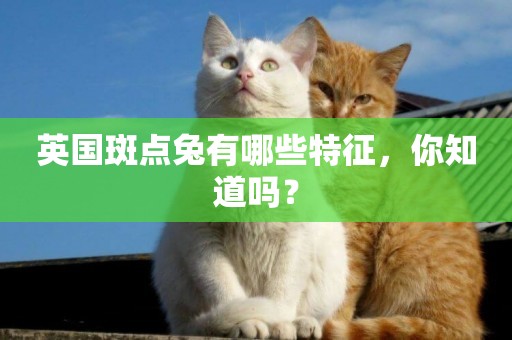 英國斑點兔有哪些特征，你知道嗎？