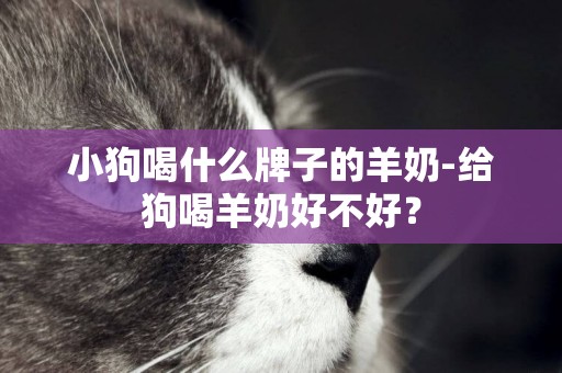 小狗喝什么牌子的羊奶-給狗喝羊奶好不好？