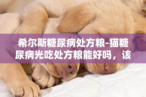 希爾斯糖尿病處方糧-貓糖尿病光吃處方糧能好嗎，該不該住院打胰島素？