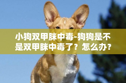 小狗雙甲脒中毒-狗狗是不是雙甲瞇中毒了？怎么辦？