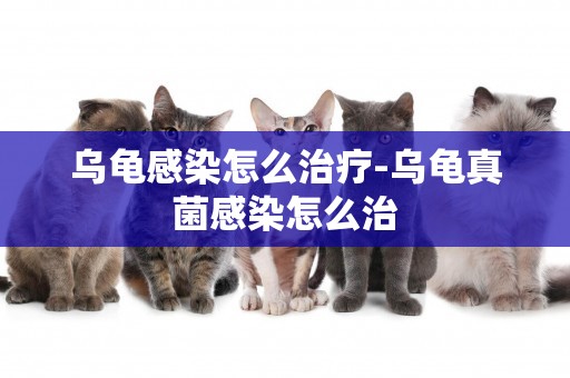 烏龜感染怎么治療-烏龜真菌感染怎么治