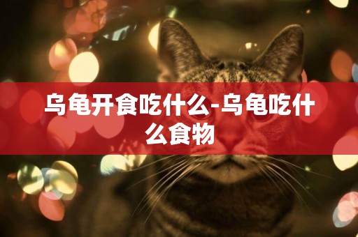 烏龜開食吃什么-烏龜吃什么食物
