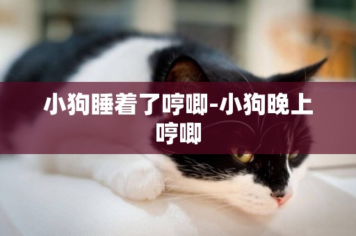 小狗睡著了哼唧-小狗晚上哼唧
