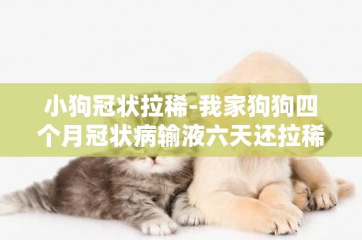 小狗冠狀拉稀-我家狗狗四個月冠狀病輸液六天還拉稀咋辦呢！
