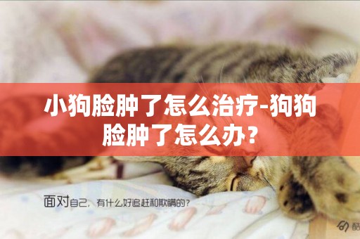 小狗臉腫了怎么治療-狗狗臉腫了怎么辦？
