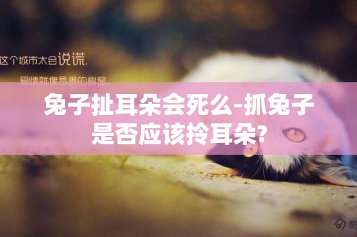 兔子扯耳朵會死么-抓兔子是否應該拎耳朵?