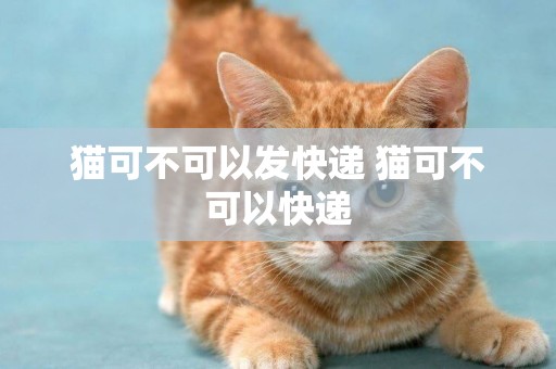 貓可不可以發快遞 貓可不可以快遞