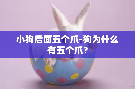 小狗后面五個爪-狗為什么有五個爪？
