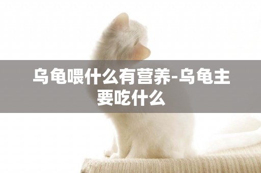 烏龜喂什么有營養-烏龜主要吃什么