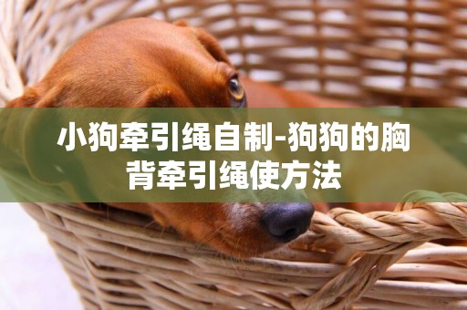 小狗牽引繩自制-狗狗的胸背牽引繩使方法