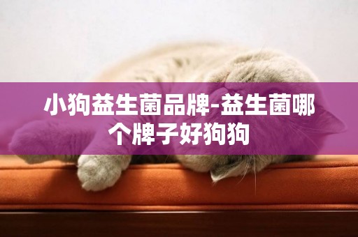 小狗益生菌品牌-益生菌哪個牌子好狗狗