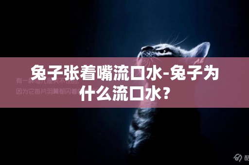 兔子張著嘴流口水-兔子為什么流口水？