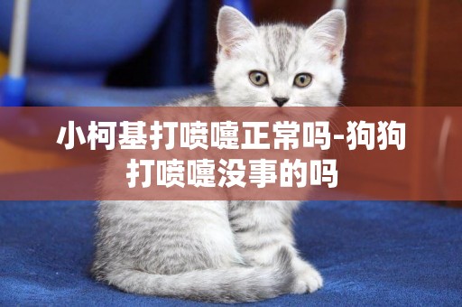 小柯基打噴嚏正常嗎-狗狗打噴嚏沒事的嗎