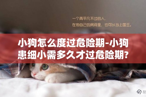 小狗怎么度過危險期-小狗患細小需多久才過危險期?