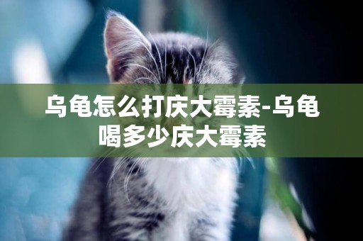 烏龜怎么打慶大霉素-烏龜喝多少慶大霉素