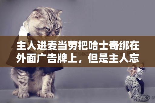 主人進麥當勞把哈士奇綁在外面廣告牌上，但是主人忘了它是雪橇犬 