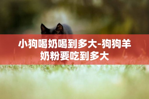 小狗喝奶喝到多大-狗狗羊奶粉要吃到多大