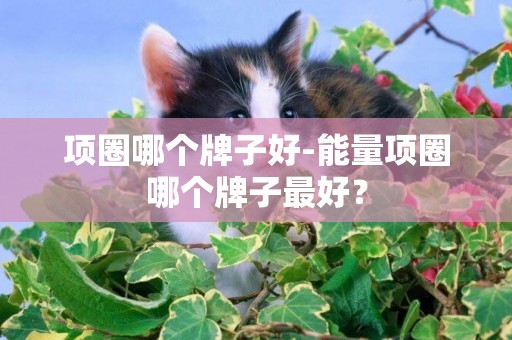 項圈哪個牌子好-能量項圈哪個牌子最好？