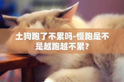 土狗跑了不累嗎-慢跑是不是越跑越不累？