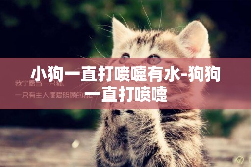 小狗一直打噴嚏有水-狗狗一直打噴嚏